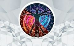 The Onnit Philosophy of Proper Nutrition & Supplementation